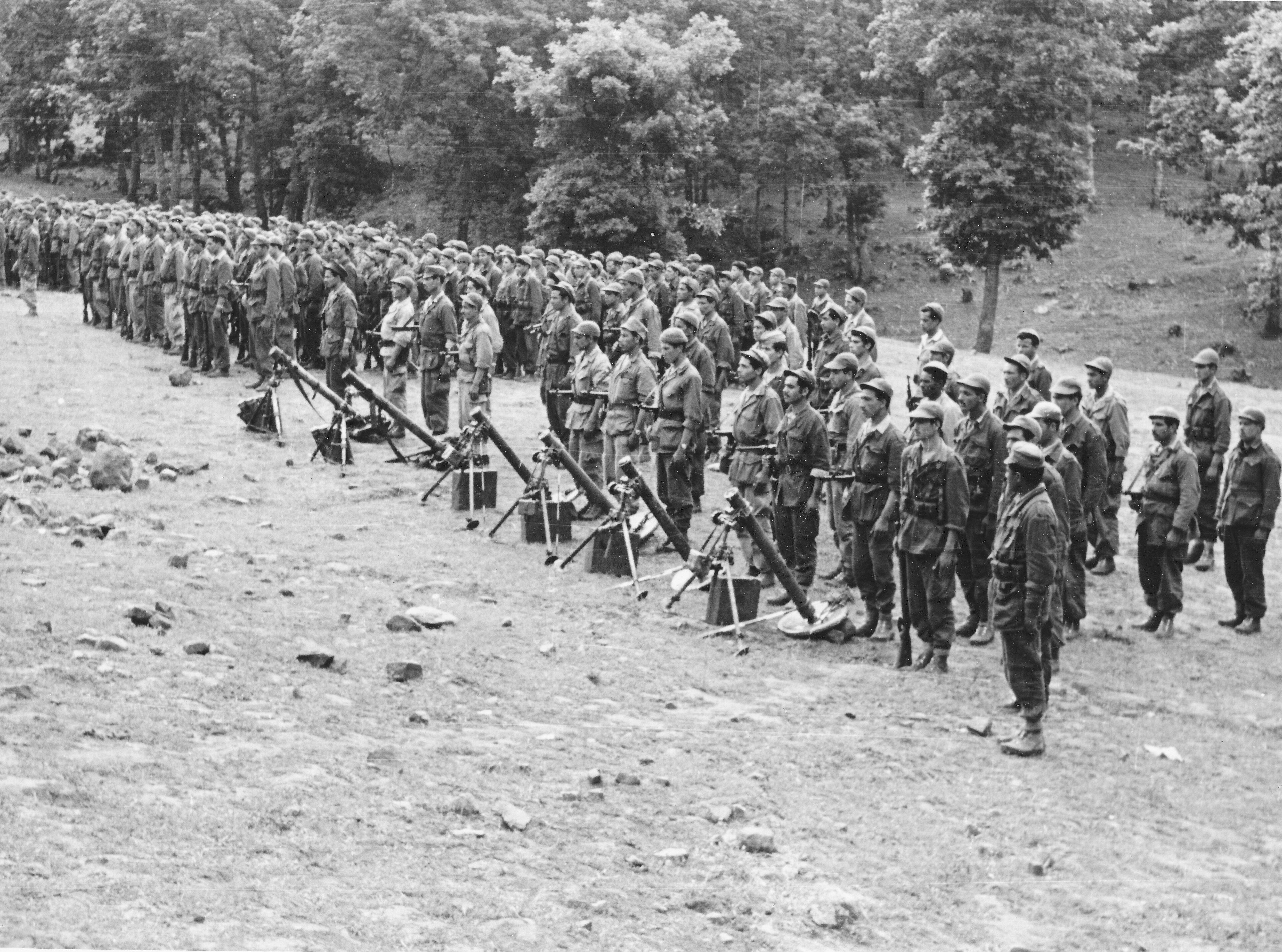 Did France Use Torture in Algeria?