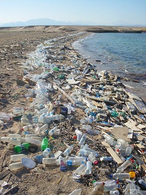 Angespülter Plastikmüll an einem Strand in Ägypten. Ein Symbol für die globale Verbreitung von Einwegverpackungen.