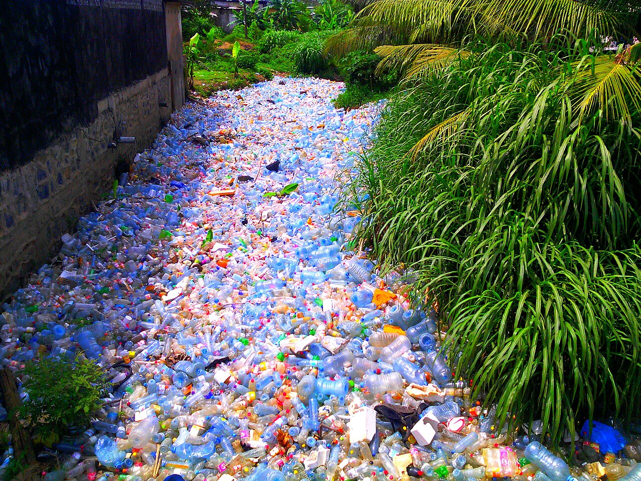 Ein Vogelnest, verwoben mit Plastikfragmenten. Die Natur wird gezwungen, unsere Abfälle zu integrieren.