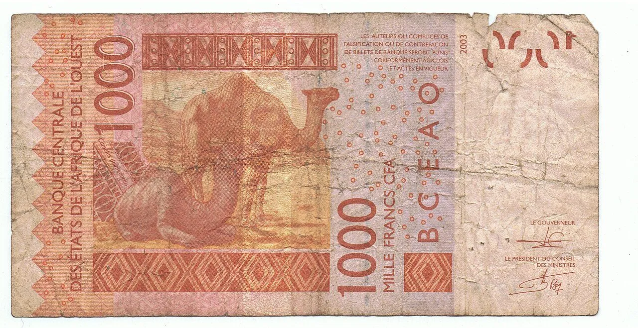 CFA-Franc-Banknoten, die in vierzehn afrikanischen Ländern verwendet werden CFA-Franc-Banknoten, die in vierzehn afrikanischen Ländern verwendet werden